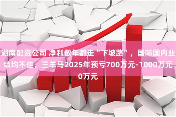 湖南配资公司 净利数年都走“下坡路”，国际国内业绩均不佳，三羊马2025年预亏700万元-1000万元